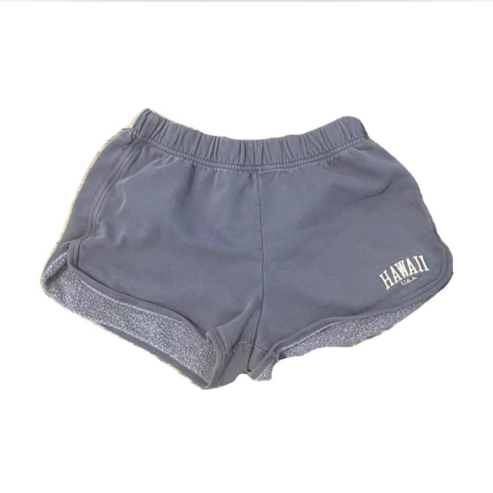 brandy melville hawaii usa shorts in blue